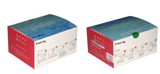 Covid-19 için 3ML Tek Kullanımlık VTM Test Kiti Virüs Örneklemesi