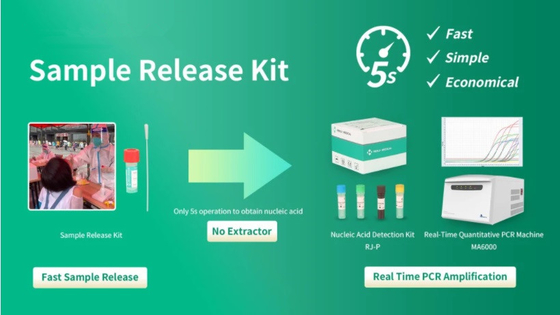 Virüs Örneği PCR Hızlı Test Kiti DNA Serbest Bırakma Reaktifi FDA Onayı