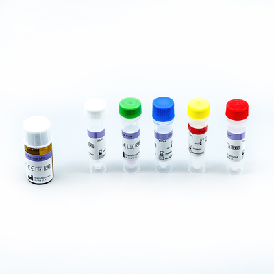 Gerçek Zamanlı Hızlı Amplifikasyon RT PCR Test Kitleri 48 Test/Kutu