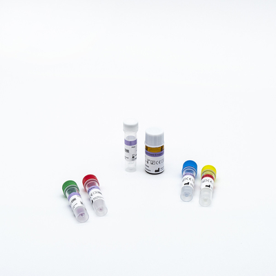 Rapid RT PCR Test Kitleri Covid-19 İçin Hızlı ve Basit Floresan