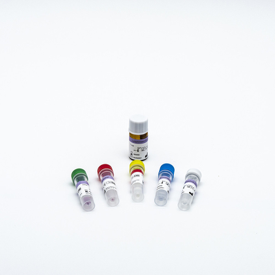 DNA RNA PCR Reaktif Kiti 48 Test/Kit Yüksek Güvenilirlik Medikal