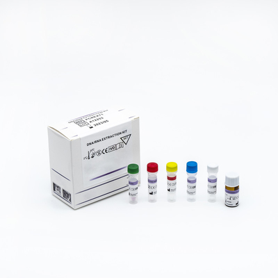 ISO 13485 Sertifikalı Nükleik Asit Algılama Hızlı PCR Test Kiti