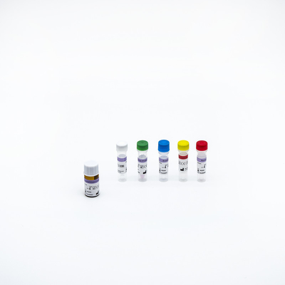 Nazofaringeal Swab ile Covid 19 Viral PCR Reaktif Kiti Real Time PCR