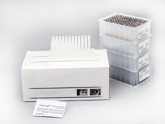 ISO13485 Sertifikası Yüksek Hassasiyetli Viral DNA Arıtma 48 Kuyu