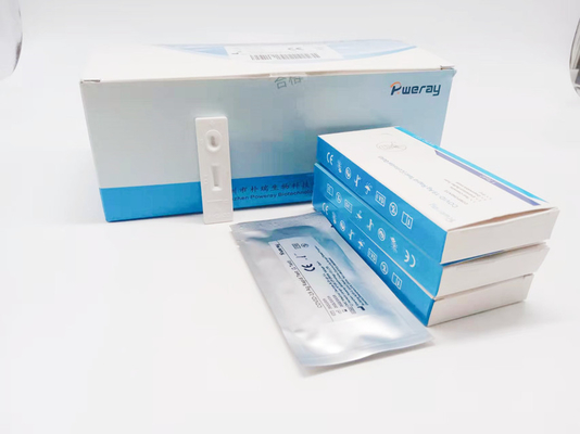 CE Onaylı Bir Adım Nükleik Asit Amplifikasyon Testi PCR NAAT Testi Tükürük Swabı